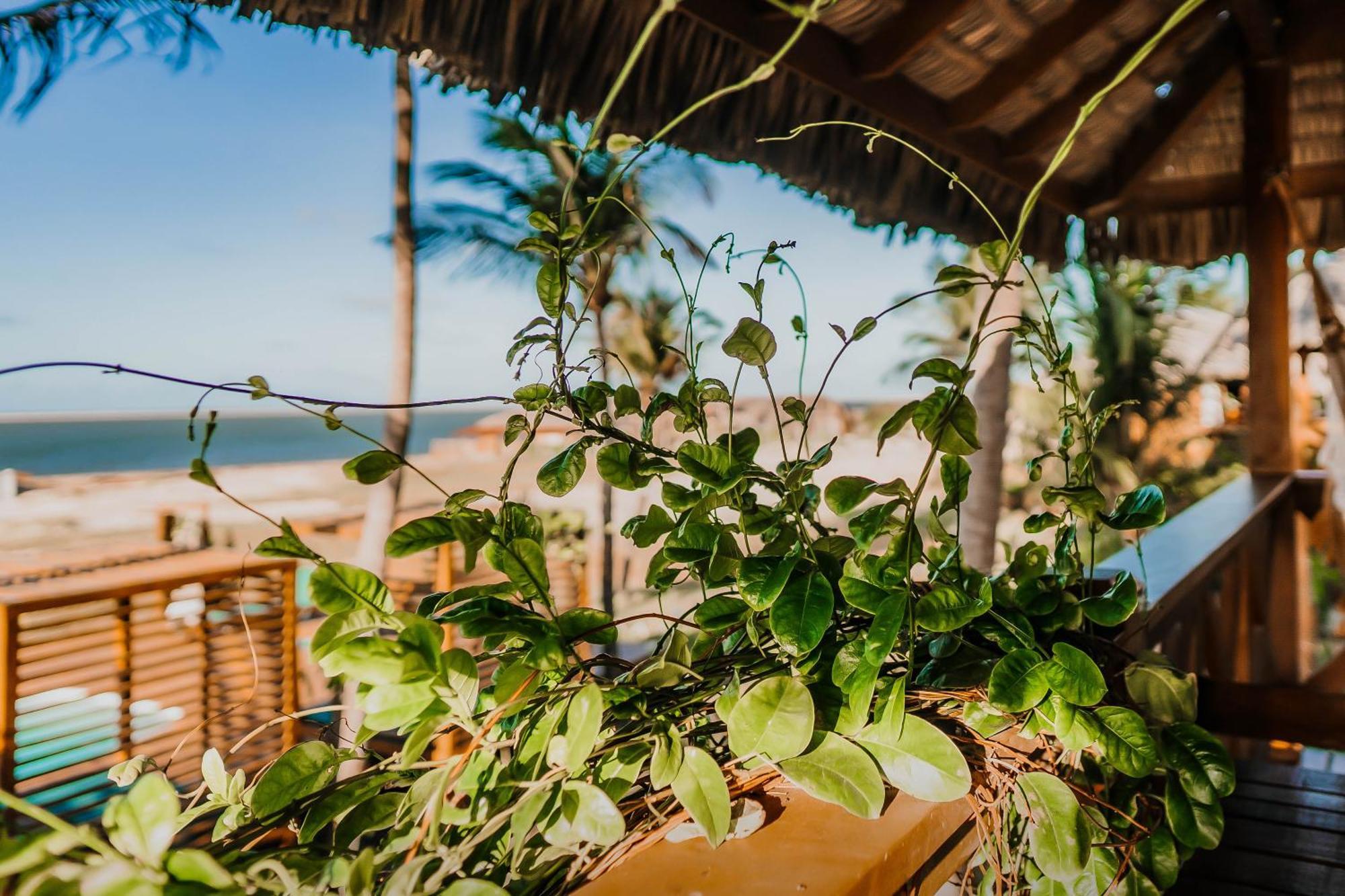 Vila Vento Atins Ngoại thất bức ảnh
